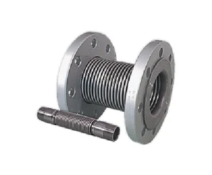 Компенсатор GA1544 DN20,  3/4"  0080071000